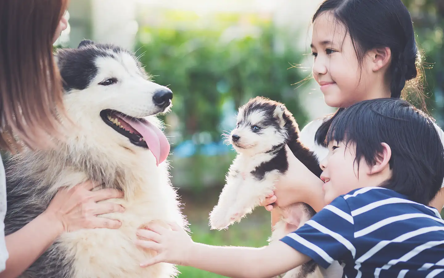 動物たちの健康を第一に考えた最善の医療を提供します